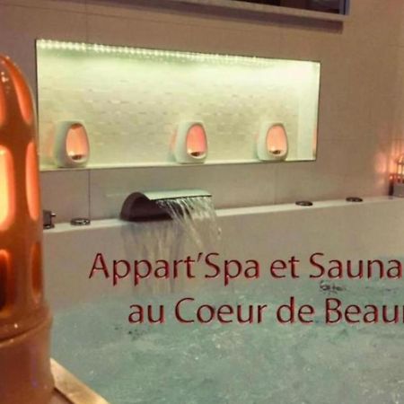 Appart' Spa Et Sauna Privatif Au Coeur De Beaune Eksteriør billede