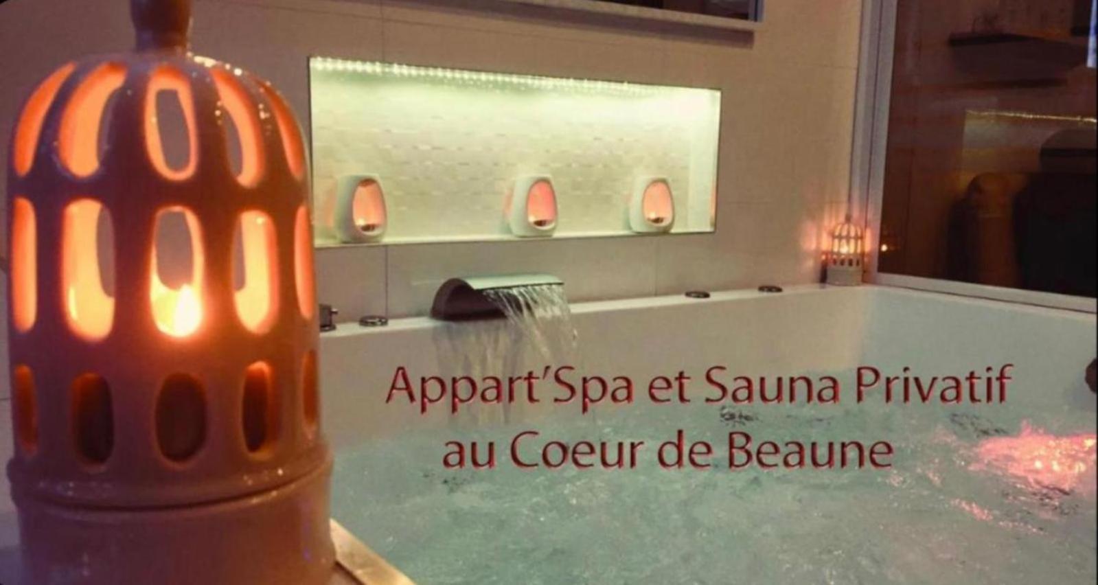 Appart' Spa Et Sauna Privatif Au Coeur De Beaune Eksteriør billede