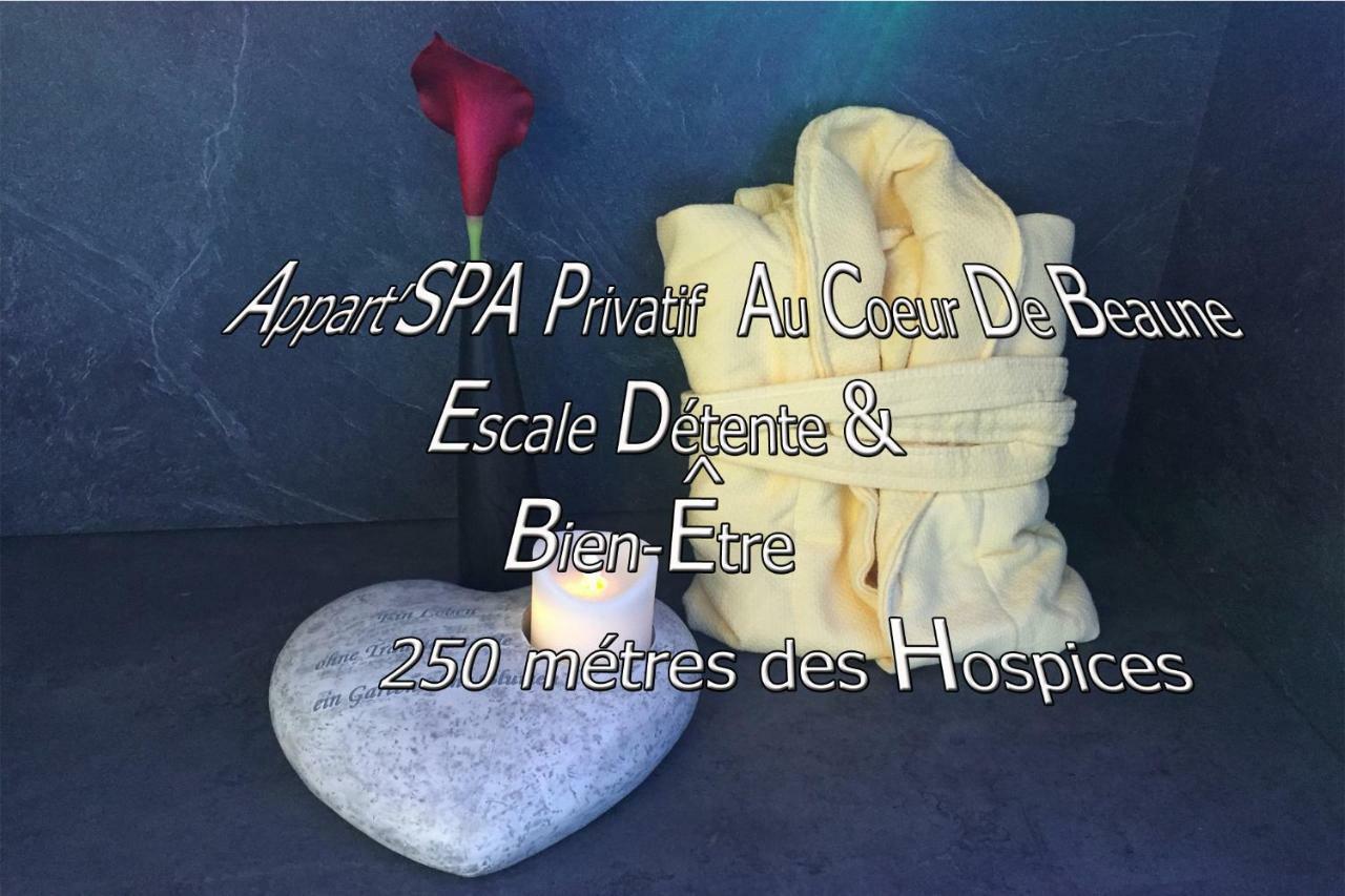 Appart' Spa Et Sauna Privatif Au Coeur De Beaune Eksteriør billede