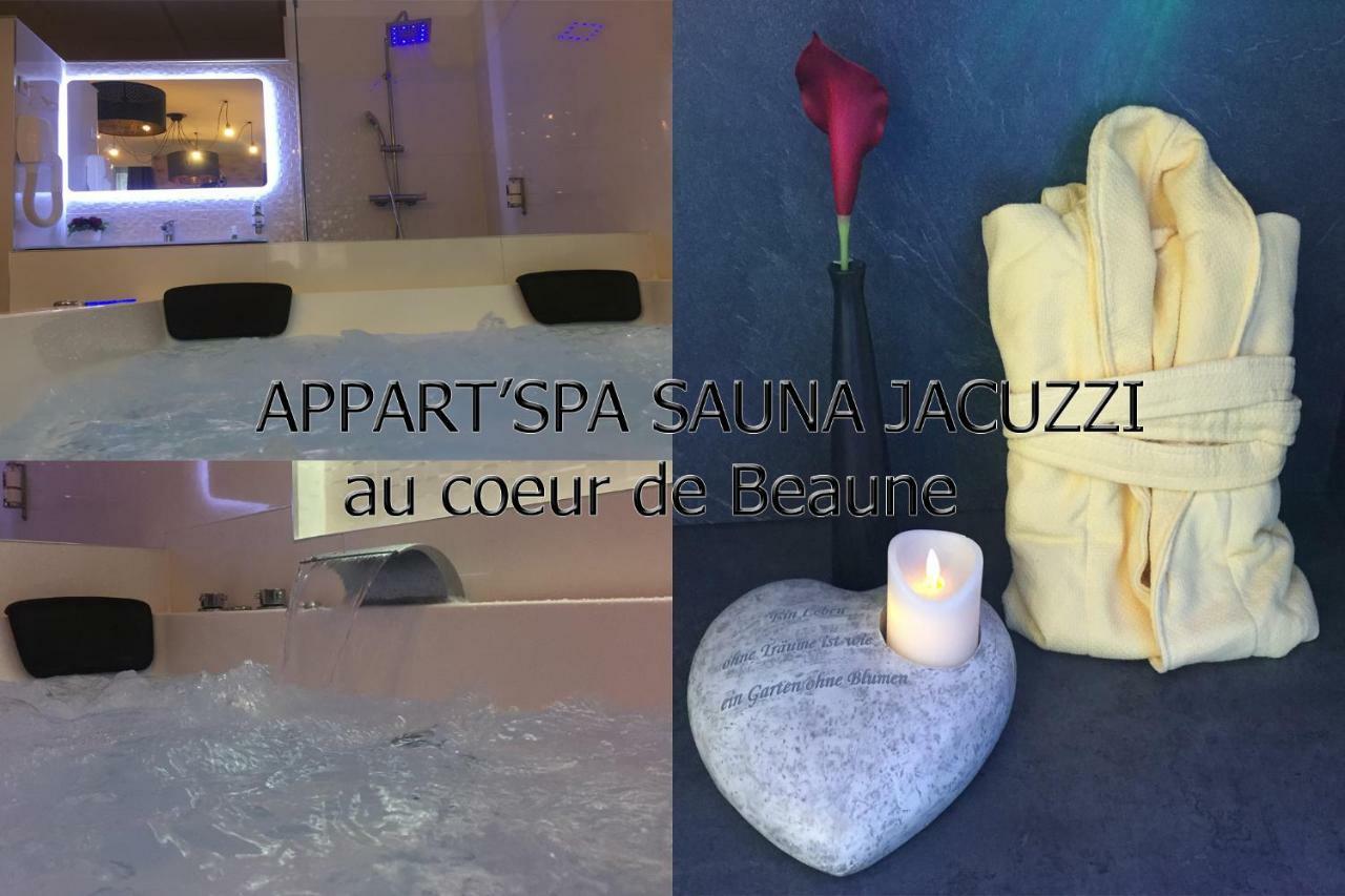 Appart' Spa Et Sauna Privatif Au Coeur De Beaune Eksteriør billede